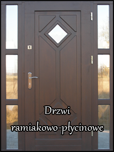 drzwi1